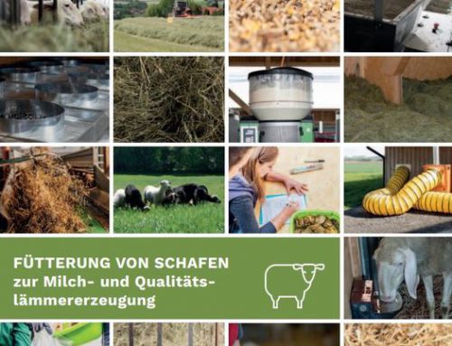 Broschüre: Fütterung von Schafen zur Milch- und Qualitätslämmererzeugung